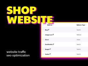 Ecommerce website traffic sources screenshot