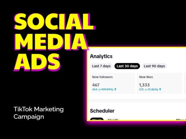 Tiktok Marketing subscribers growth screenshot